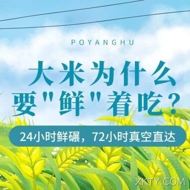大米为什么要“鲜”着吃？