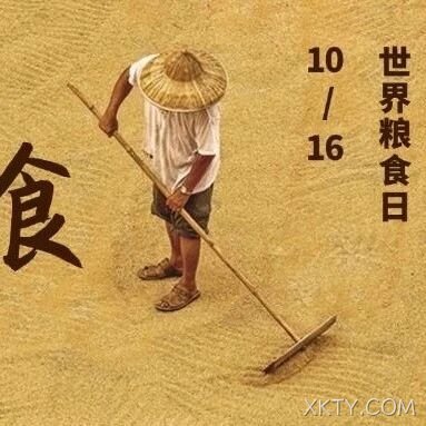 世界粮食日：端牢中国饭碗，不负好“食”光